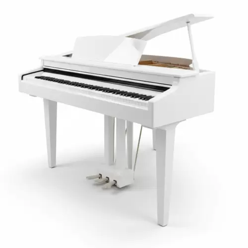 Цифровой рояль PIANOVA RG-110 Polish White