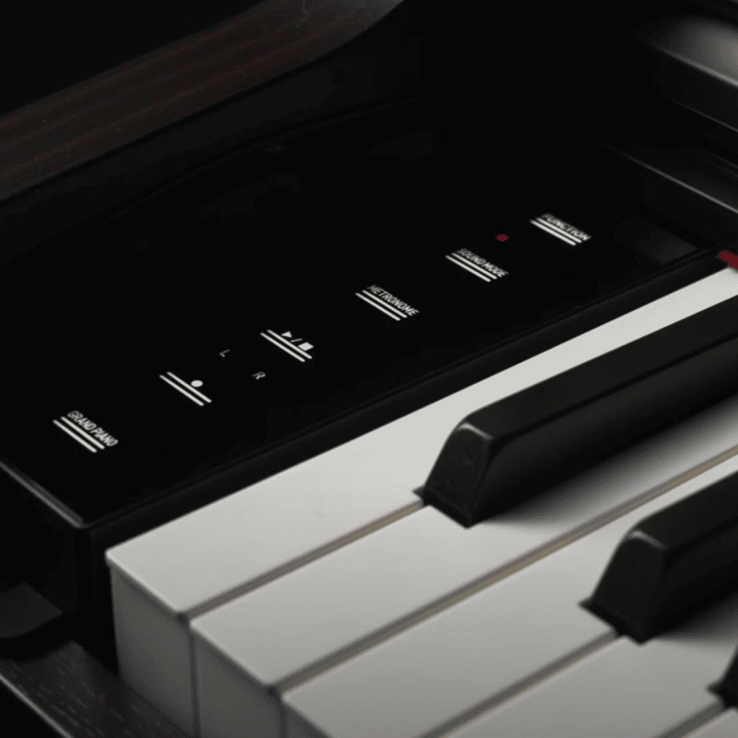 Цифровое пианино Casio Celviano AP-550 BK